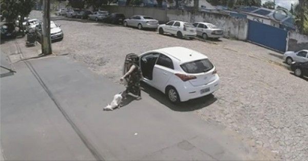 Kobieta wyrzuca psa z samochodu