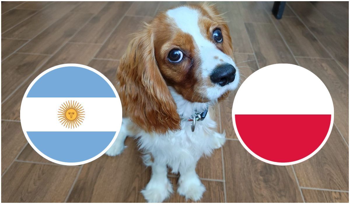 Oti Polska-Argentyna