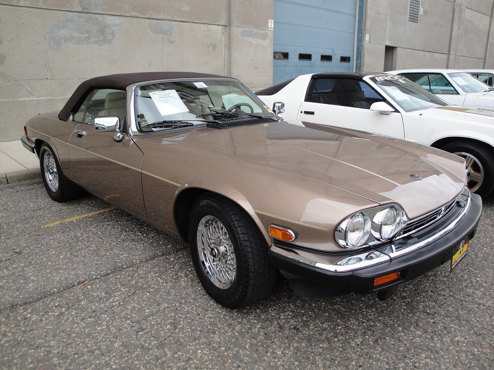 90_Jaguar_XJS_V12_(7457661832).jpg