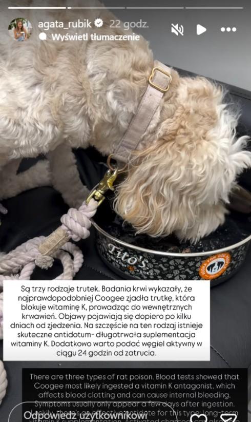 Agata i Piotr Rubikowie przeżyli koszmar. Tragedia była blisko