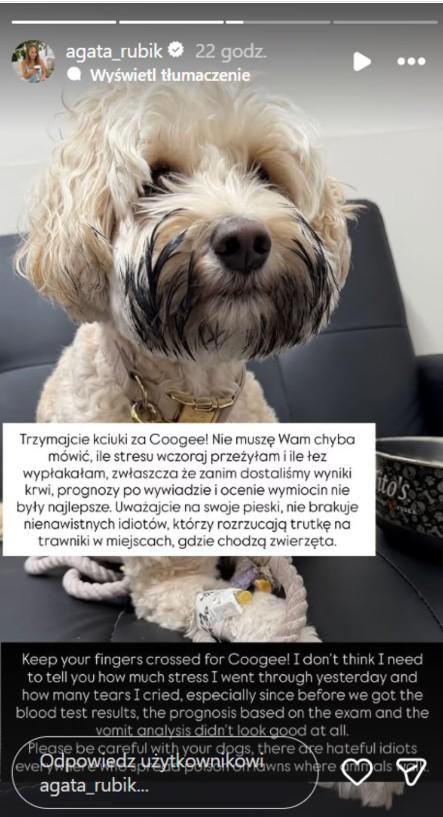 Agata i Piotr Rubikowie przeżyli koszmar. Tragedia była blisko