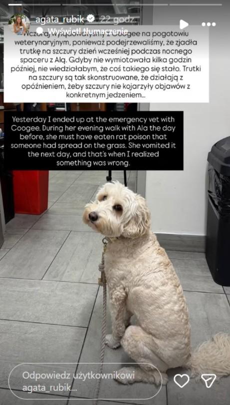 Agata i Piotr Rubikowie przeżyli koszmar. Tragedia była blisko