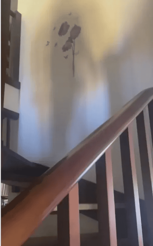 W takich warunkach mieszka Agnieszka Chylińska. „Totalny syf”. [ZDJĘCIA]