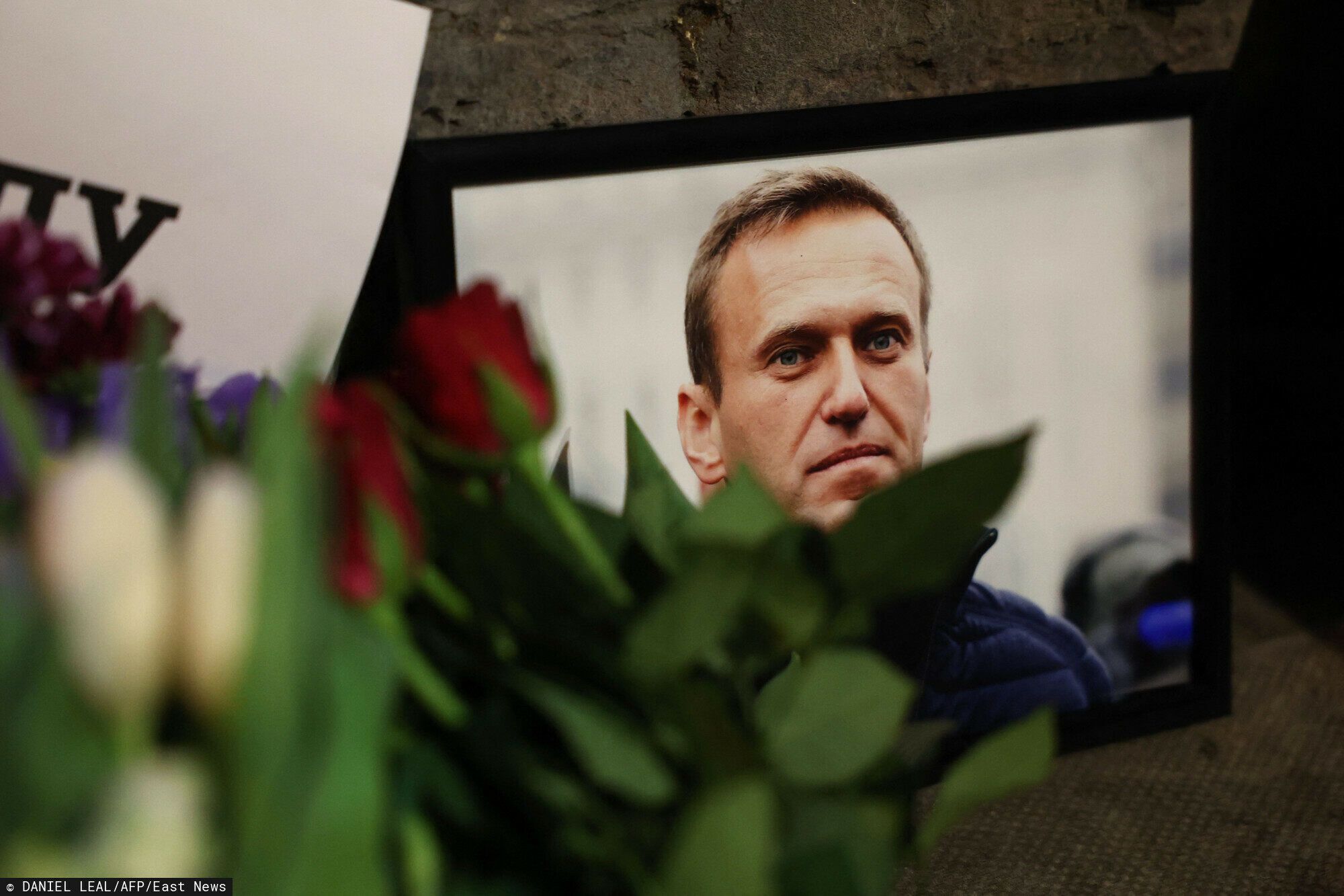 Aleksiej Nawalny, fot. East News