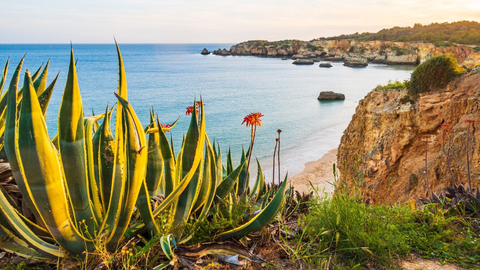 Te miejsca zachwycają i są bezpieczne. 5 najlepszych kierunków na wakacje 2026