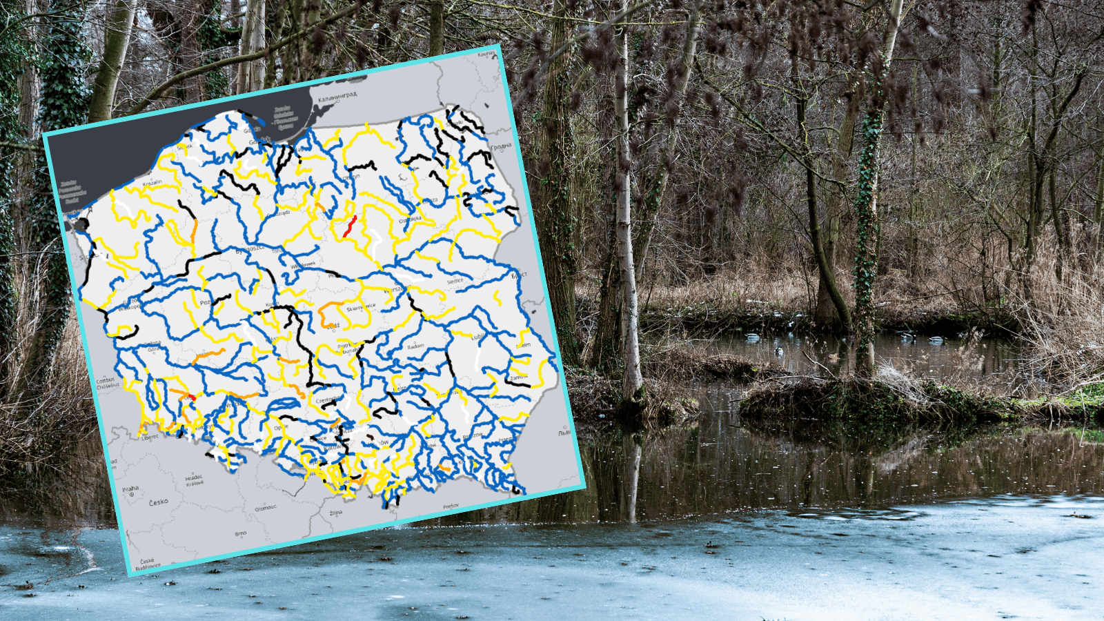 Kilka polskich rzek przekroczyło stan alarmowy. Sytuacja jest poważna