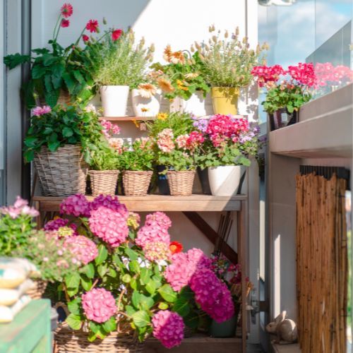 Balkon z roślinami