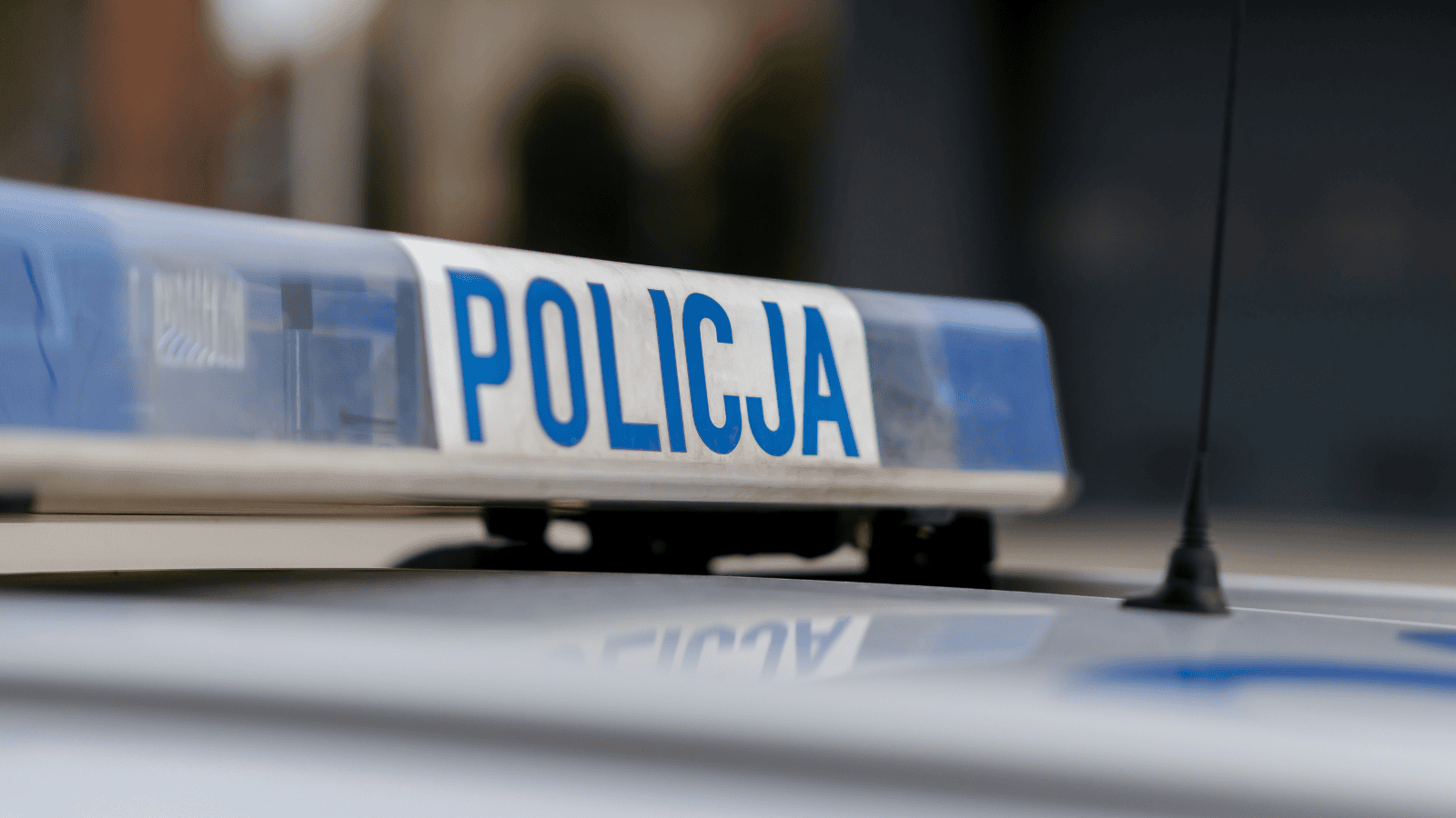policja
