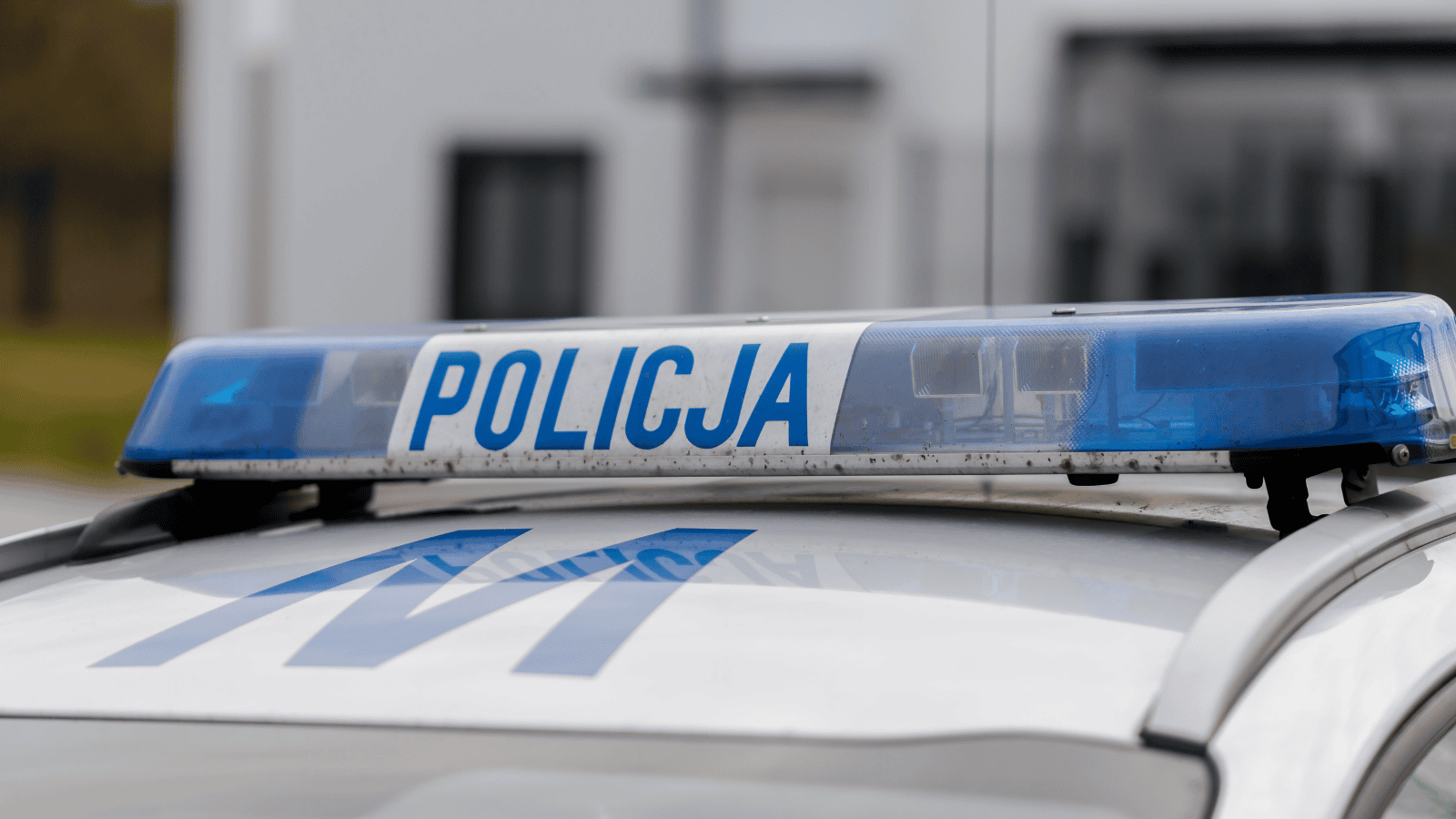 Tragiczne odkrycie w polskim mieście. Przy szkole znaleziono zwłoki