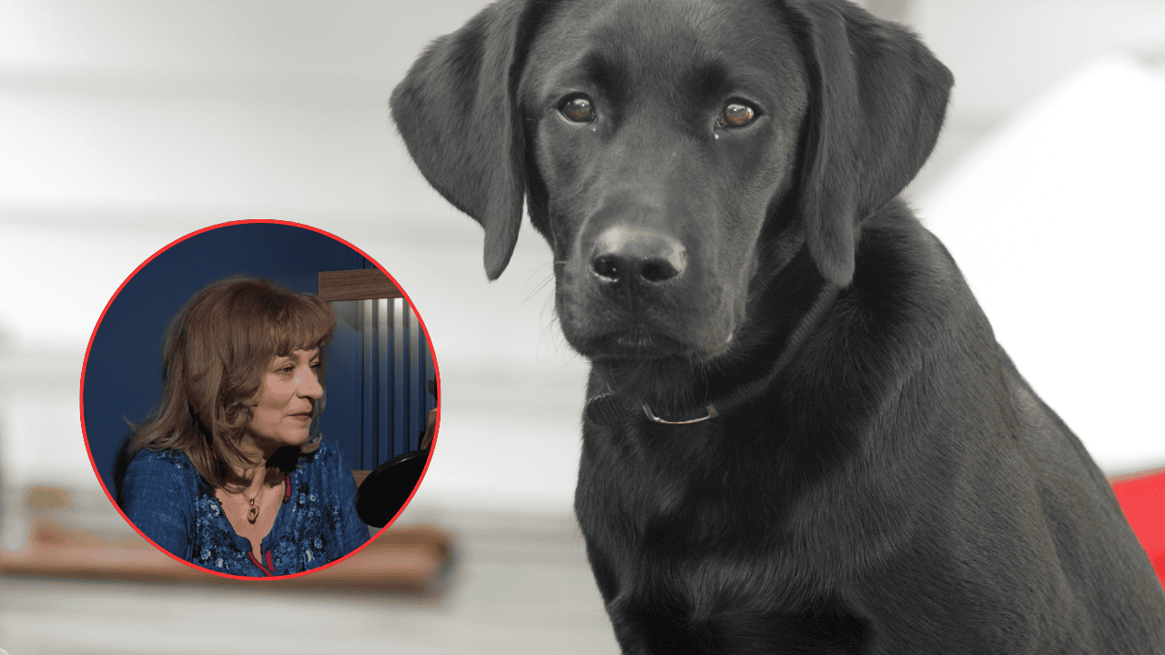 Redakcja Pacjenci.pl