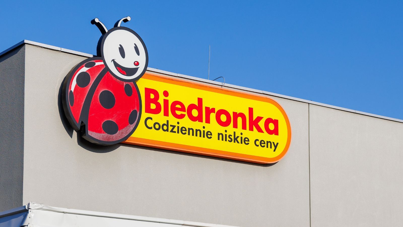 Beiedronka plecak