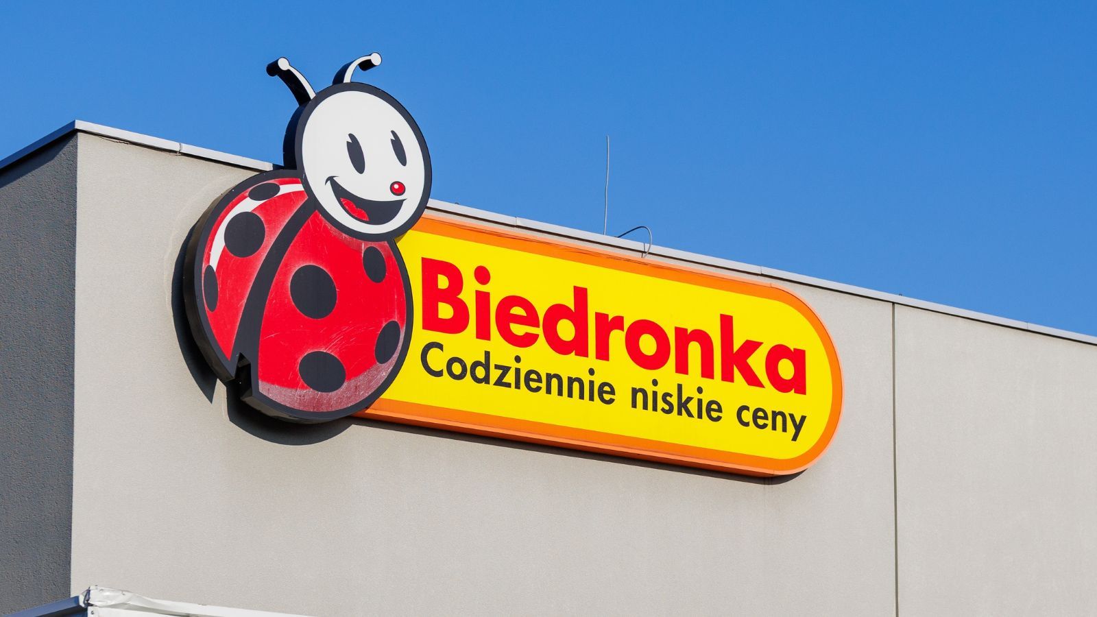 W Biedronce zaczęło się w sobotę. Popularne urządzenia w niskich cenach, przydadzą się w każdej kuchni