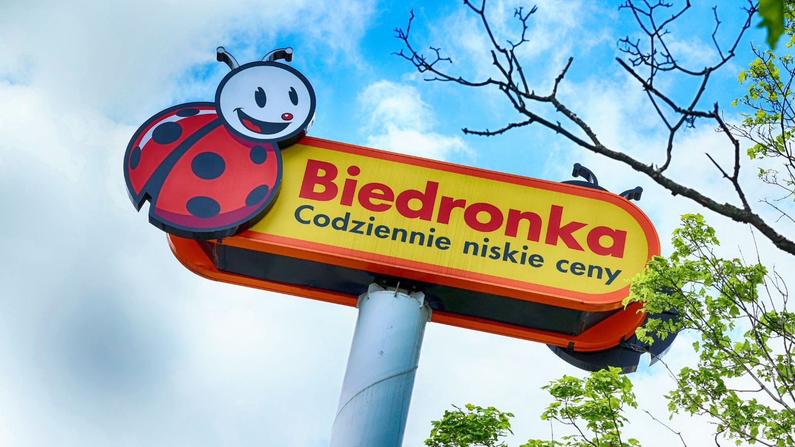 Biedronka rusza z nową ofertą od poniedziałku. Ceny zaczynają się od 11,99 zł