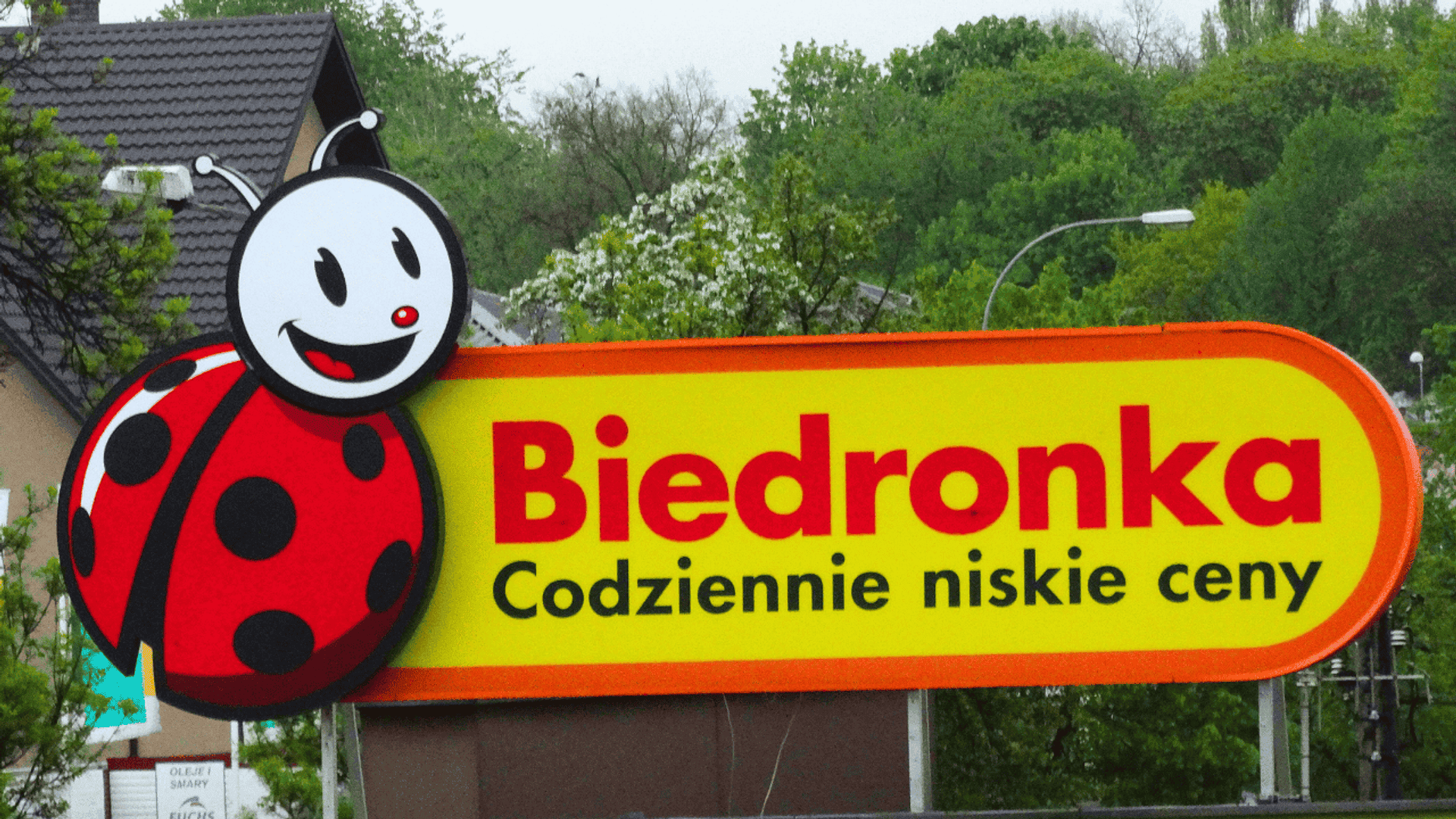 Biedronka