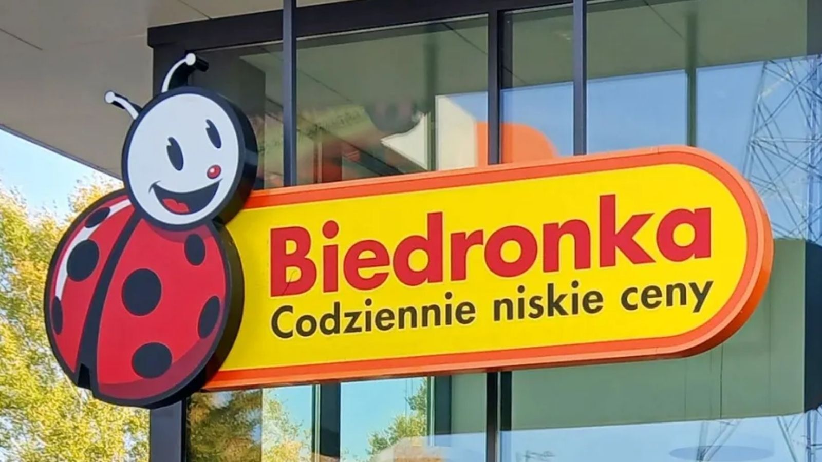 Biedronka, promocje w Biedronce, 22 września, 23 września