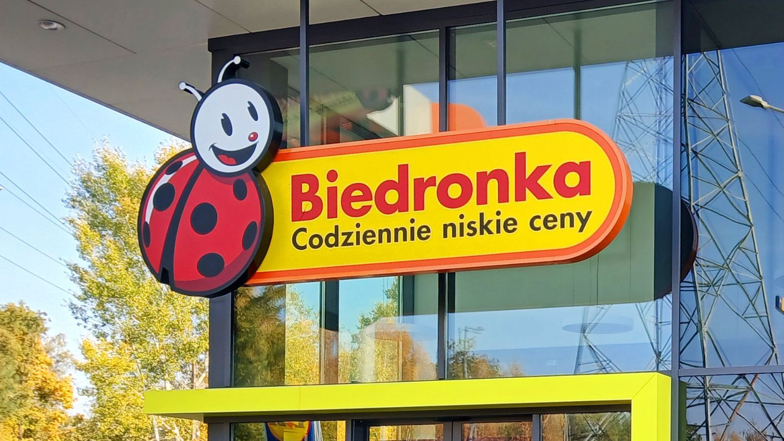 W Biedronce powariowali. 6+6 gratis i prezenty na Dzień Nauczyciela. Czas do końca tygodnia