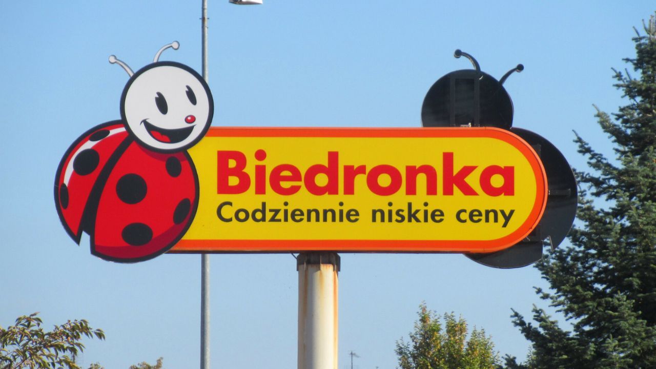 Biedronka gazetka