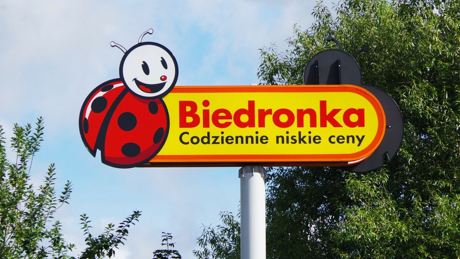 Biedronka jesień