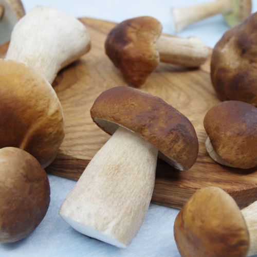 Grzybiarze już szykują koszyki, tu lada moment będzie wysyp grzybów. Raj dla borowików i koźlarzy