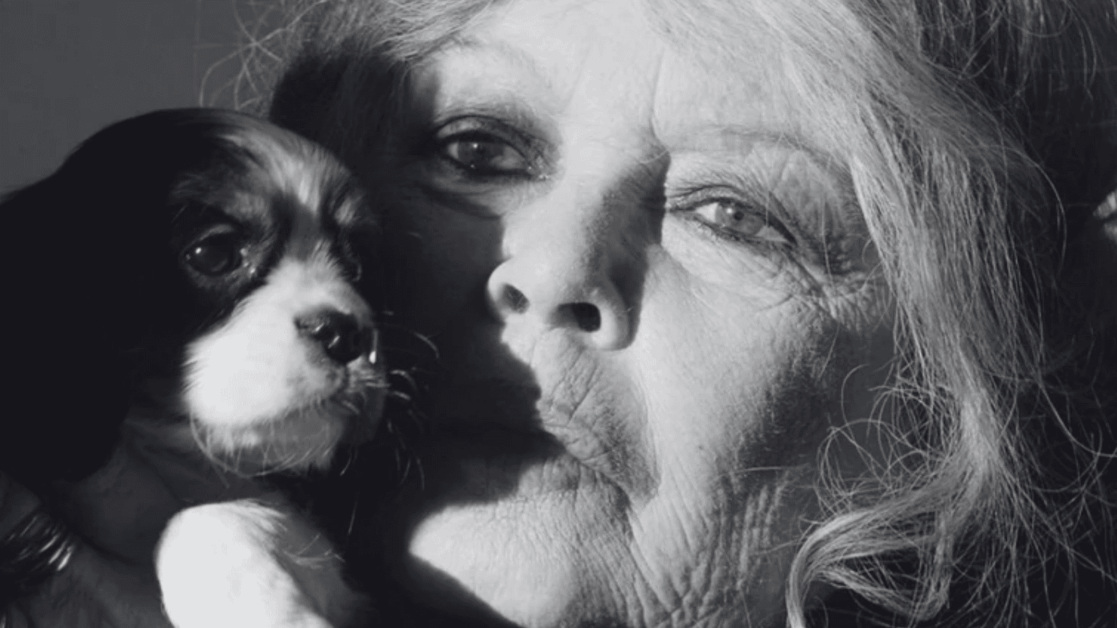 Przed śmiercią dwukrotnie trafiła do szpitala. Tak wyglądały ostatnie chwili Brigitte Bardot