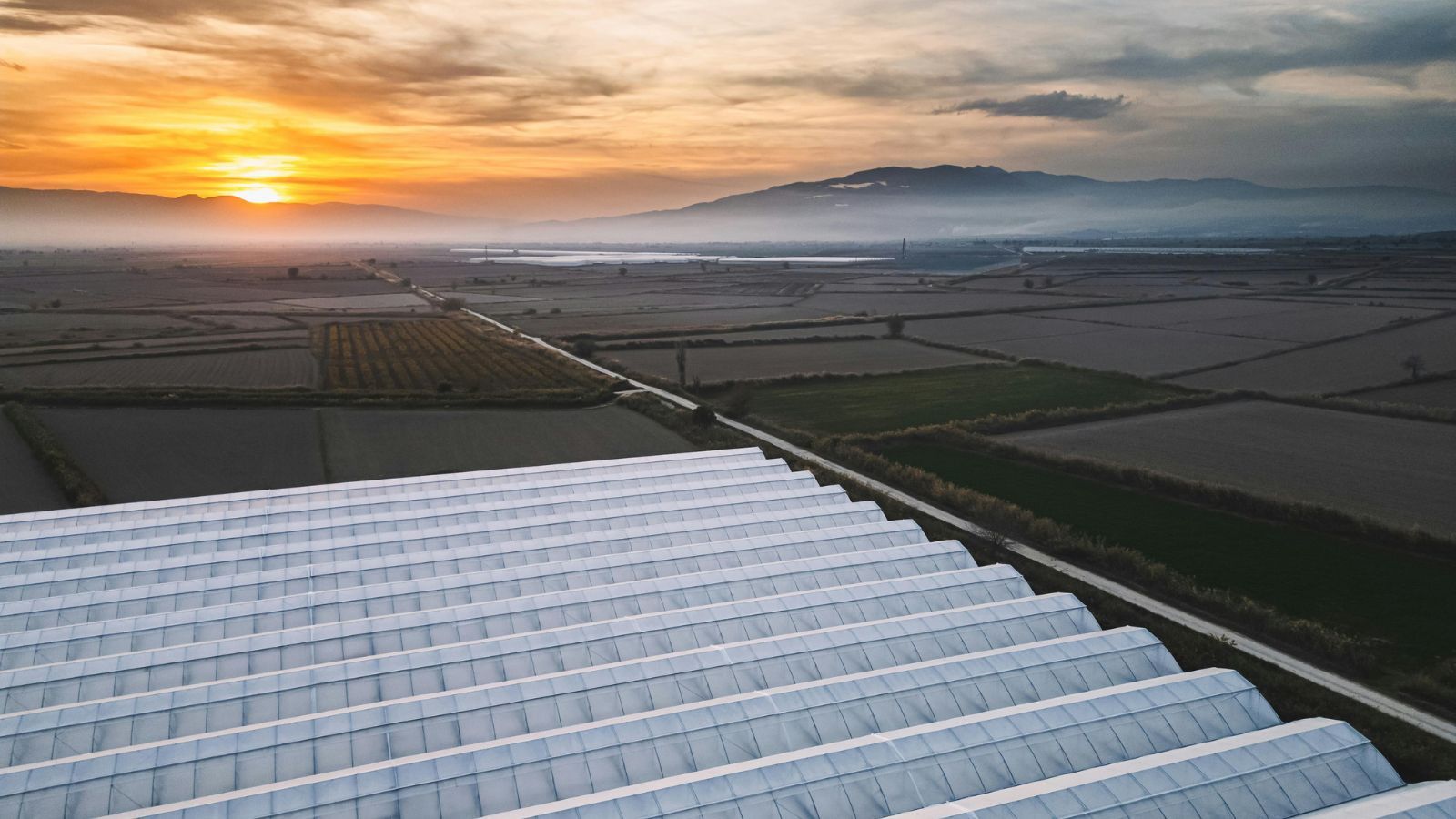 Magdalena Fordymacka