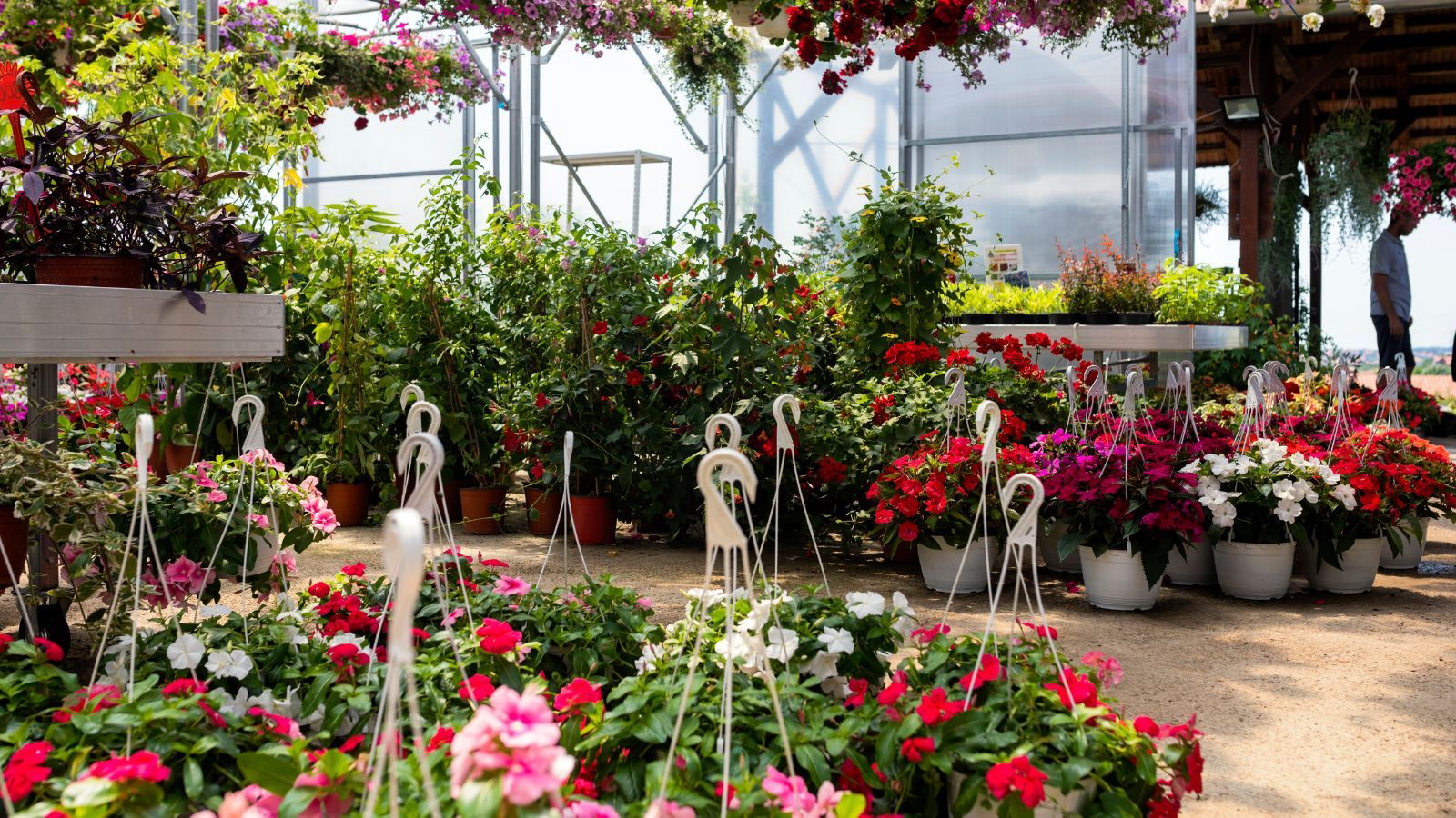 UE wprowadza zakaz. Wielkie zmiany w sklepach, Polacy nie znajdą ich więcej do kupienia