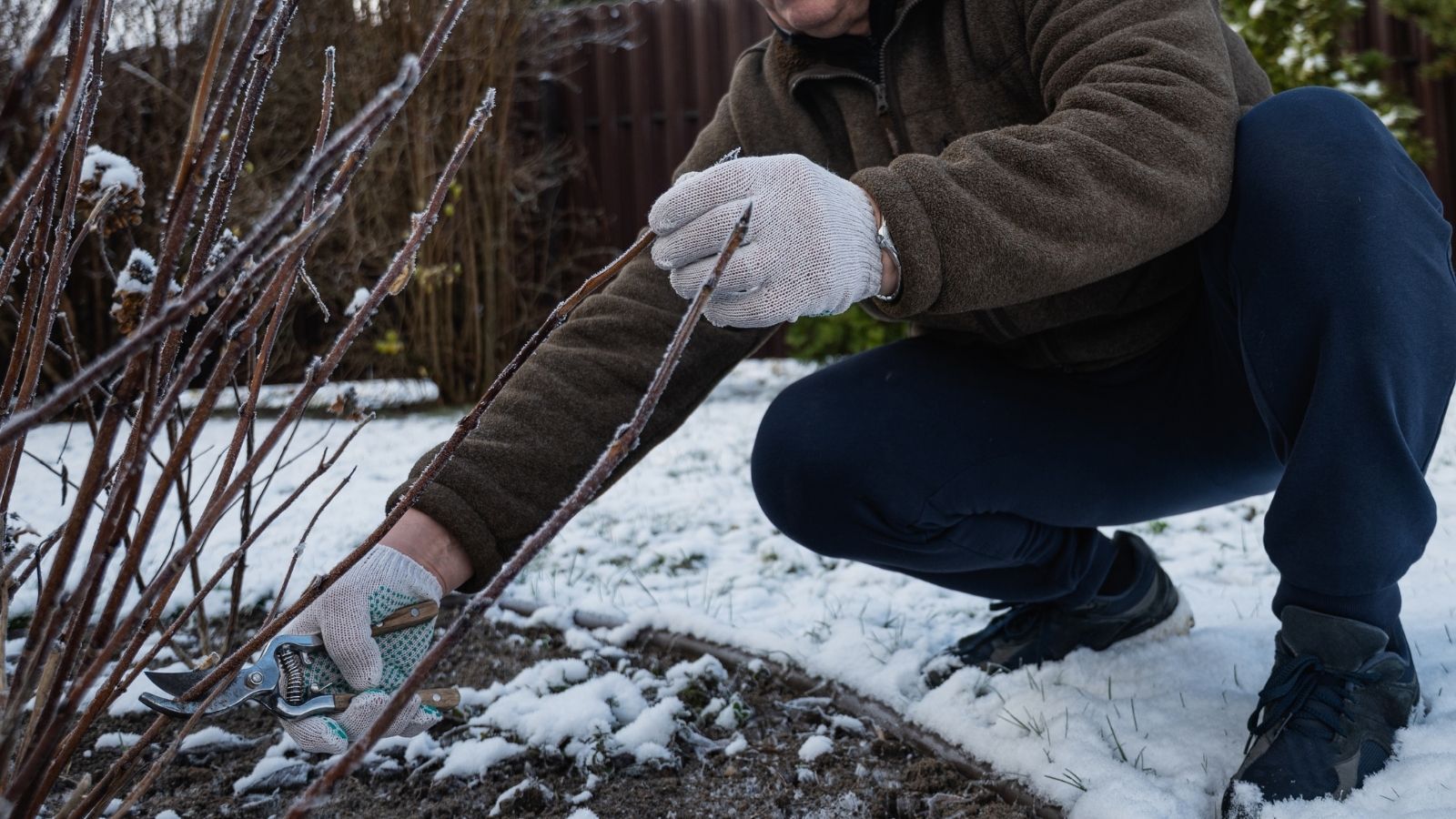 Koniecznie zajrzyj teraz pod róże i krzewy w ogrodzie. Jeśli to zauważysz, rośliny mają niemały problem