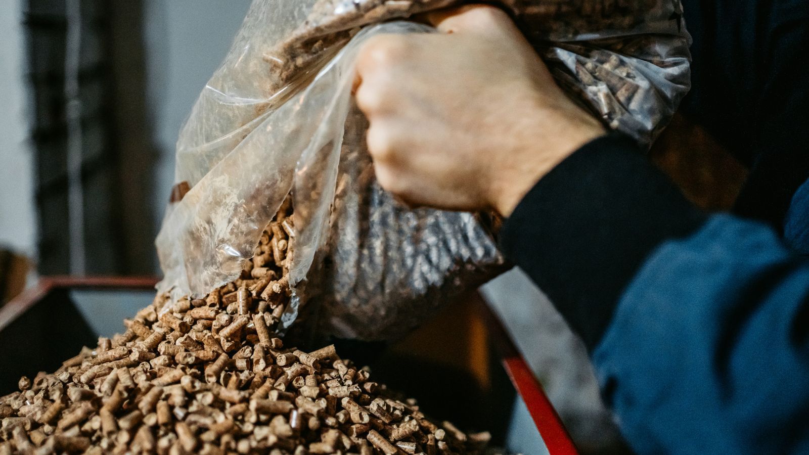 Puste składy i długie kolejki. Niesłychane, co dzieje się z cenami pelletu, Polacy załamują ręce