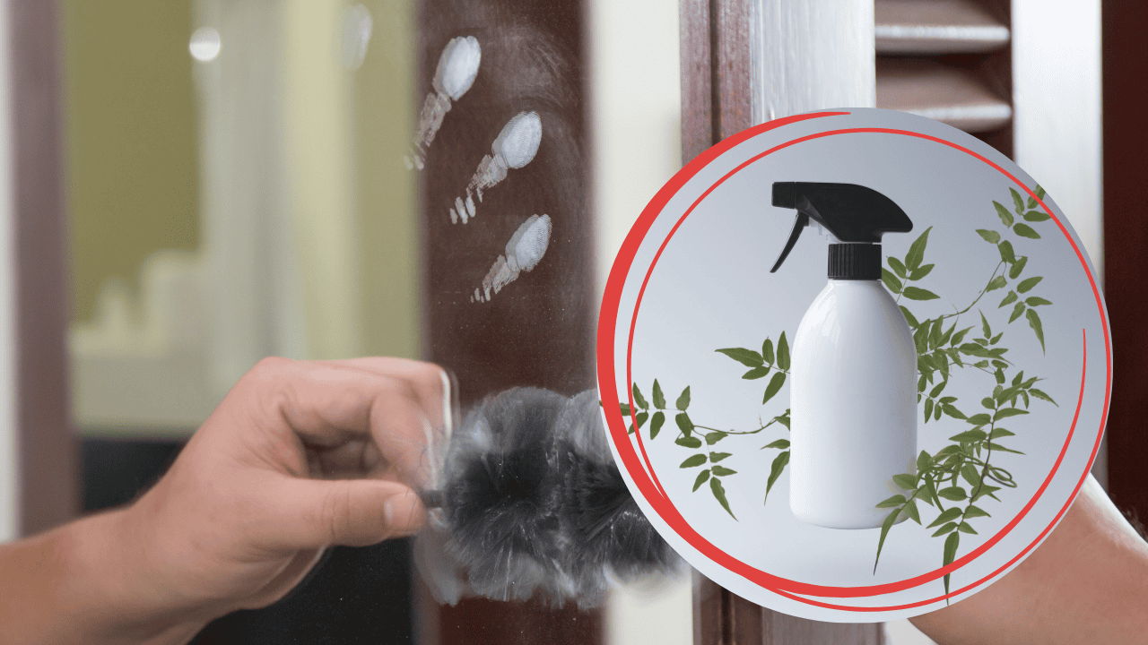 Domowy spray do mycia szyb