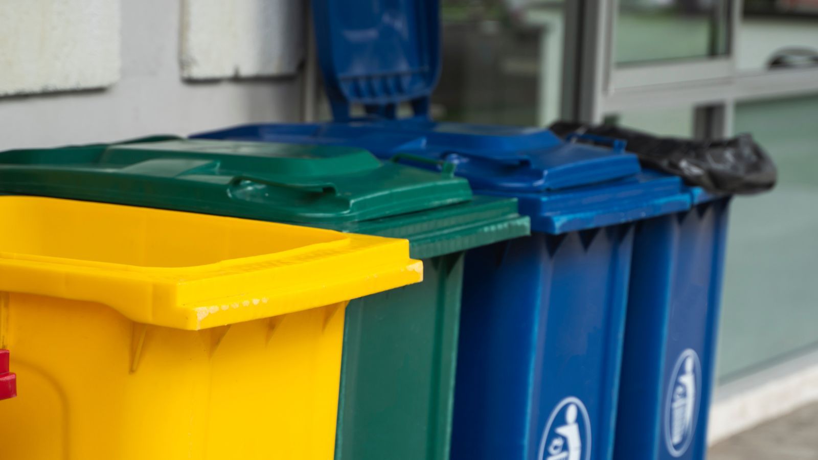 Masowe kontrole śmietników w całej Polsce. Mandaty sypią się jak z rękawa