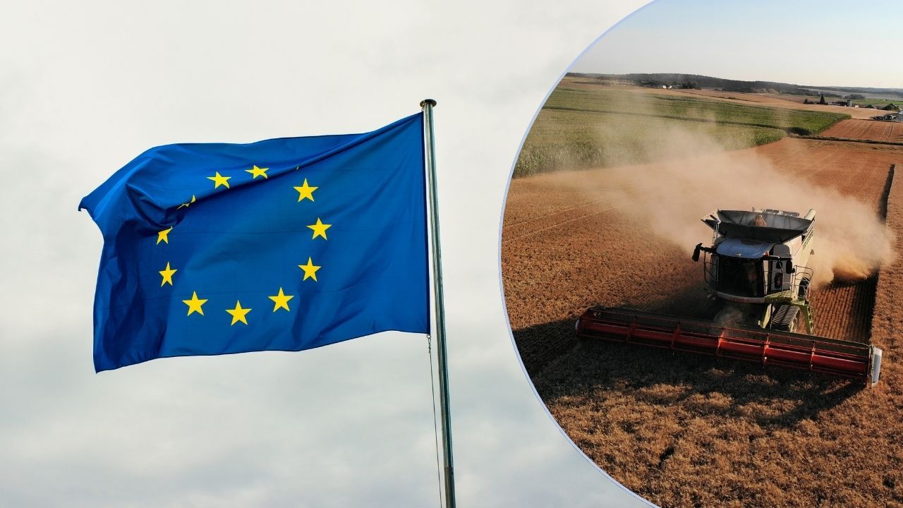 Unia Europejska, rolnicy
