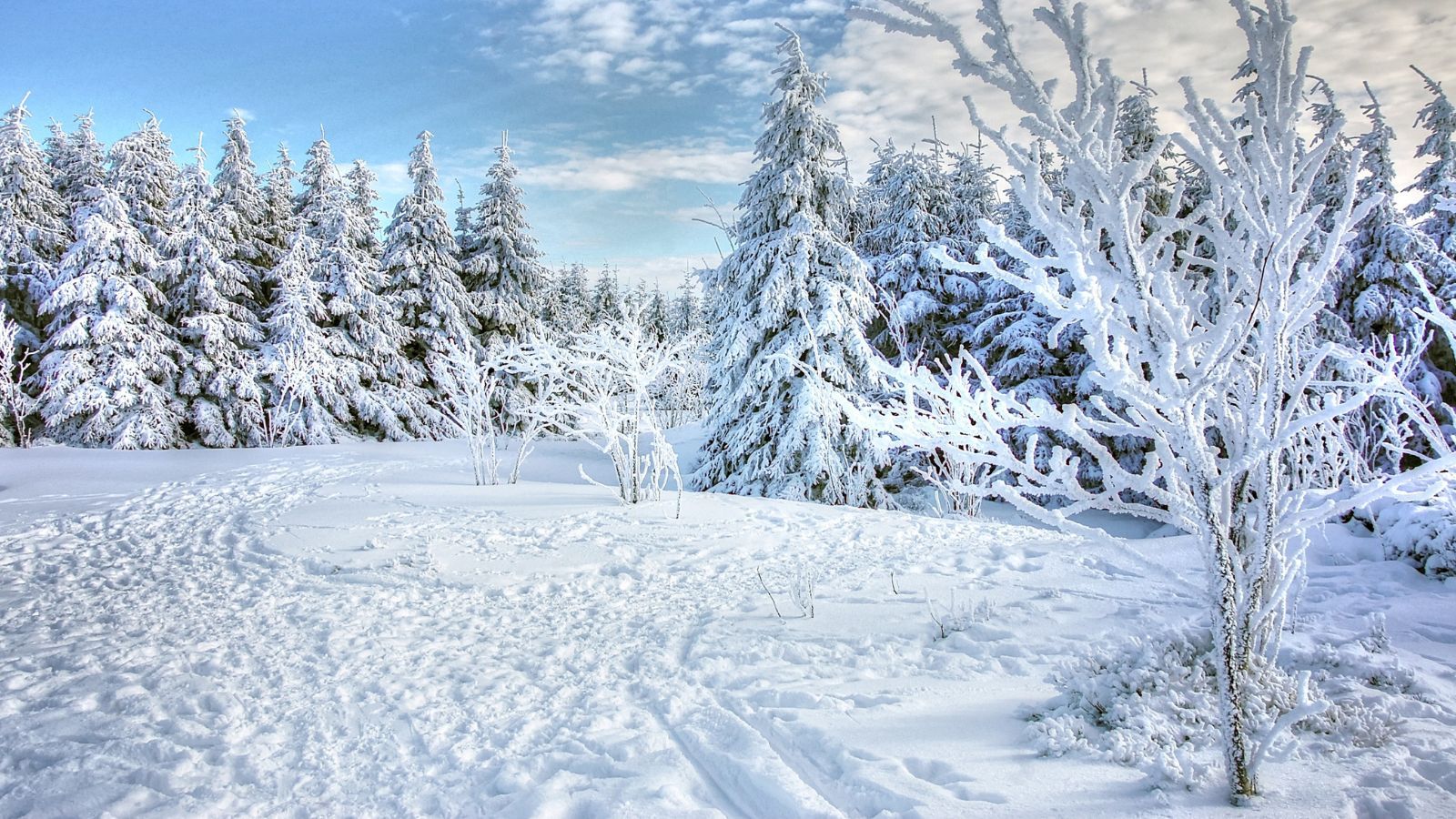 IMGW podało prognozy aż do marca. Wielu Polaków zmieni plany na ferie