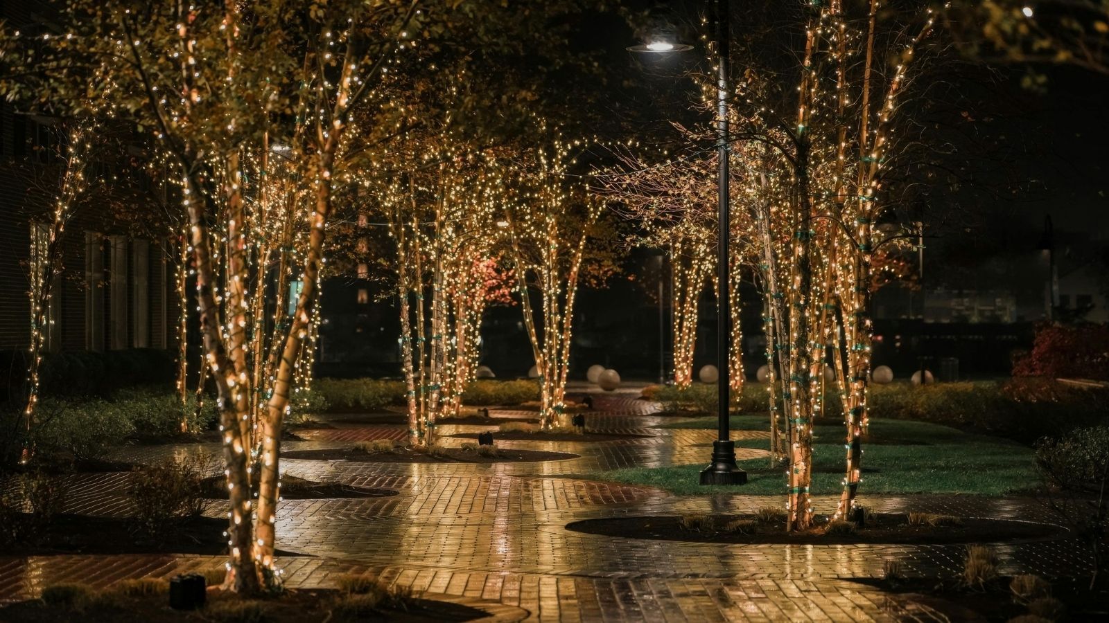 5 tys. złotych kary za taką dekorację świąteczną. Polacy wciąż nie mają o tym pojęcia