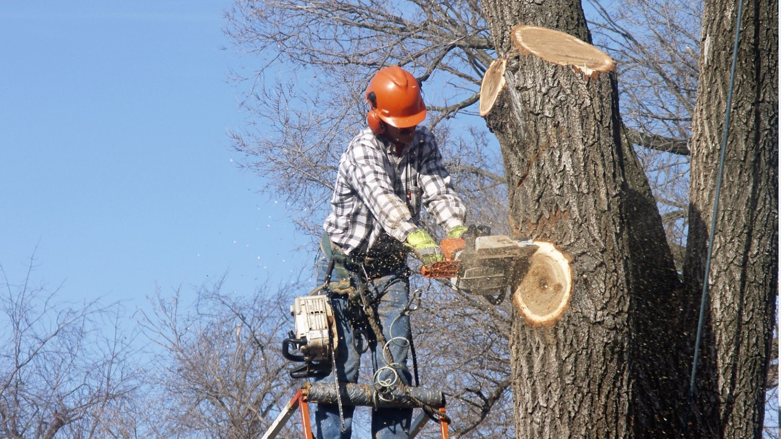 Tragedia w polskiej miejscowości. W akcji wszystkie służby. Młody mężczyzna zginął w trakcie pracy