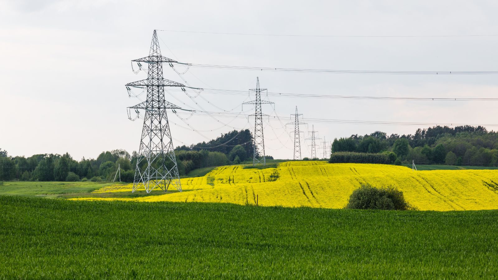 Postawili słup na twojej działce? Te osoby mogą żądać solidnego odszkodowania