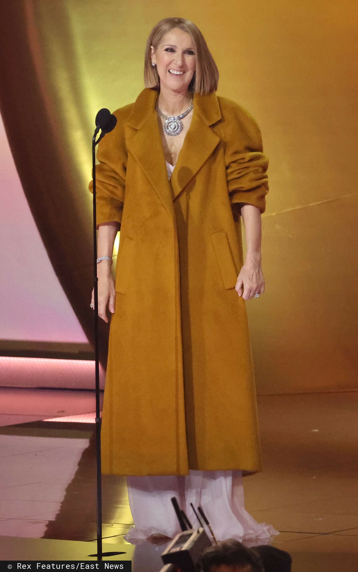 Celine Dion - Nagrody Grammy 2024, fot. EastNews