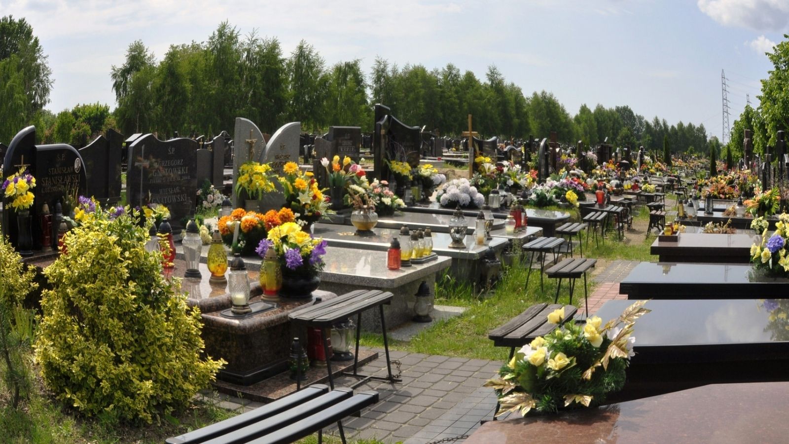 Cmentarz, Wszystkich Świętych, 1 listopada, śmieci