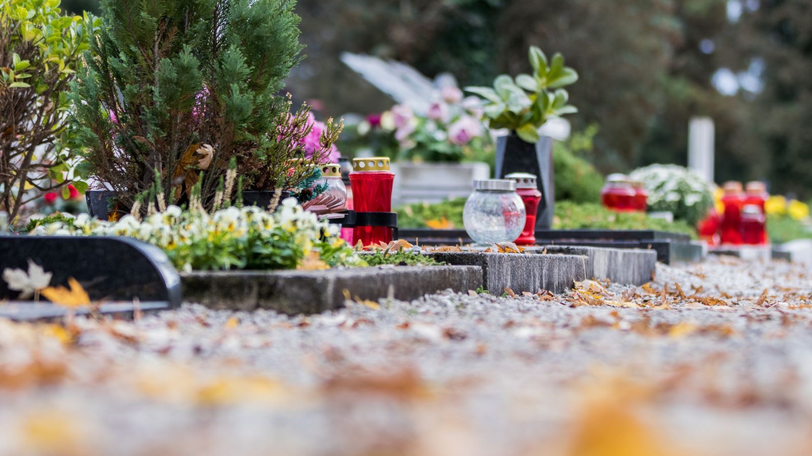 Ksiądz wprowadził nową opłatę na cmentarzach. Wierni oburzeni