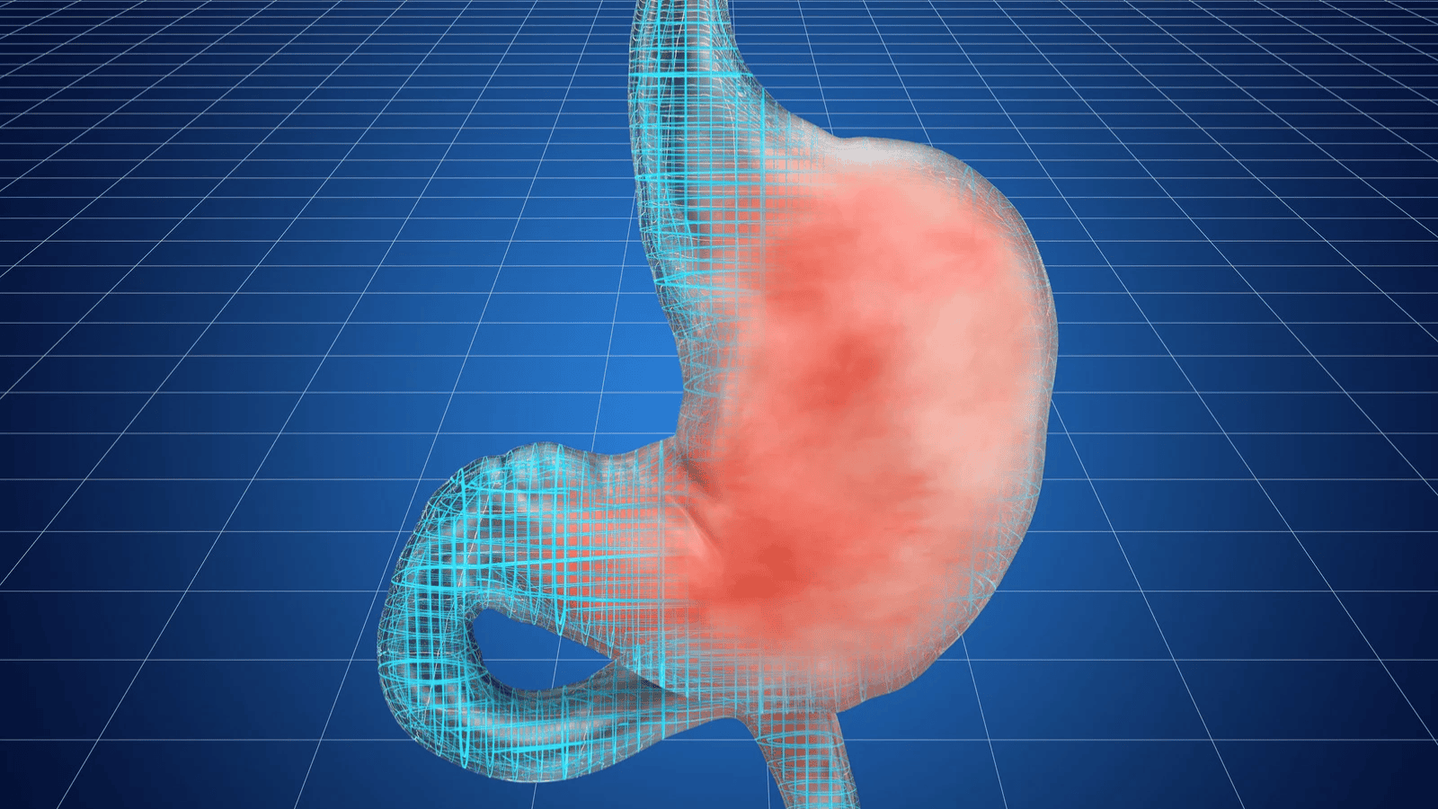 Izabela Nestioruk-Narojek