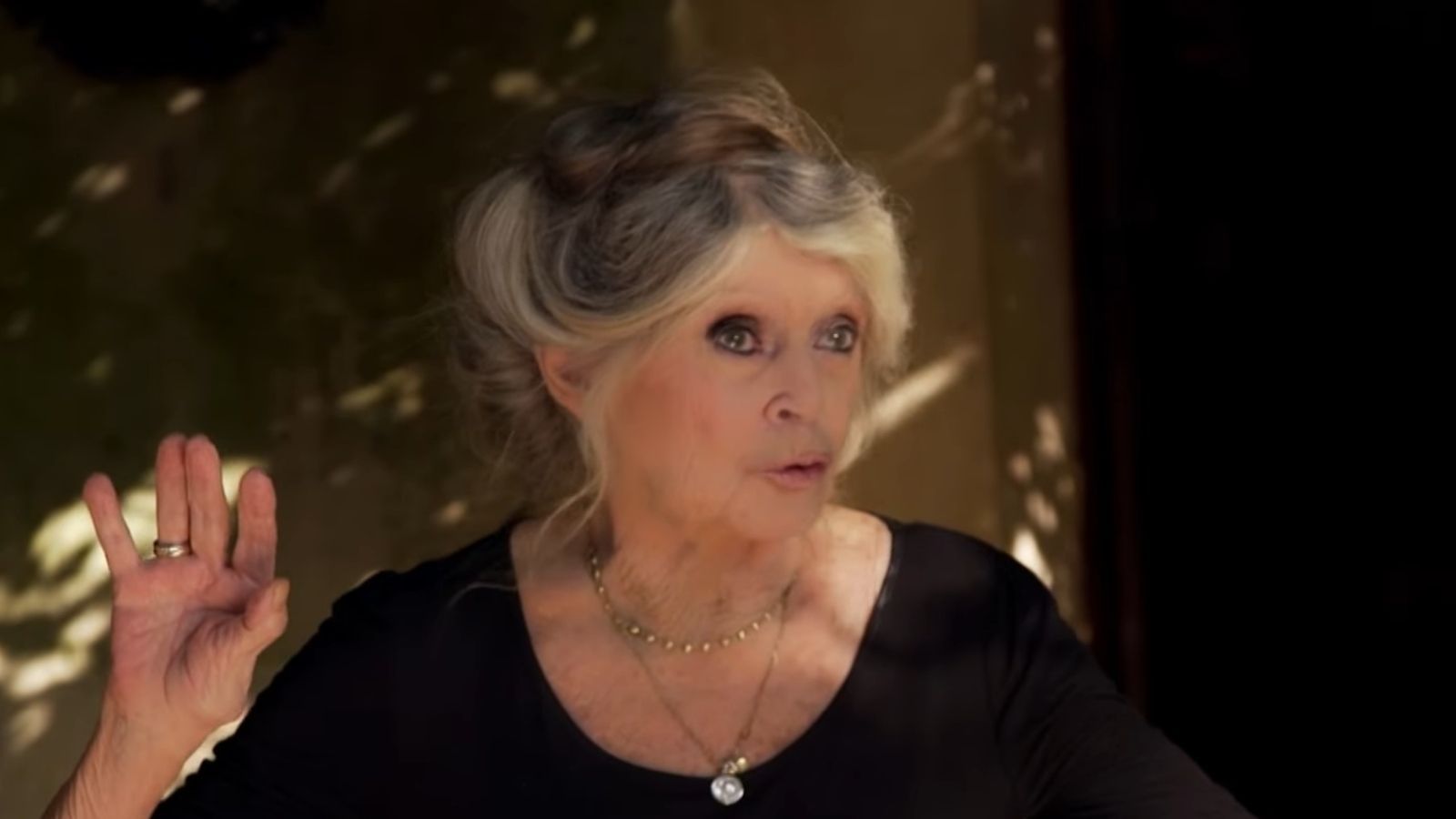 Brigitte Bardot w szpitalu! Nowe informacje o jej stanie zdrowia