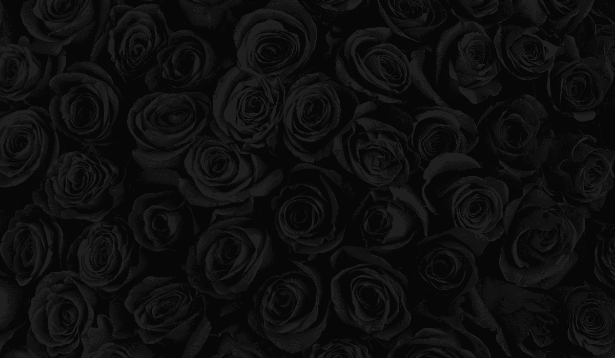 Czarna róża (1).png