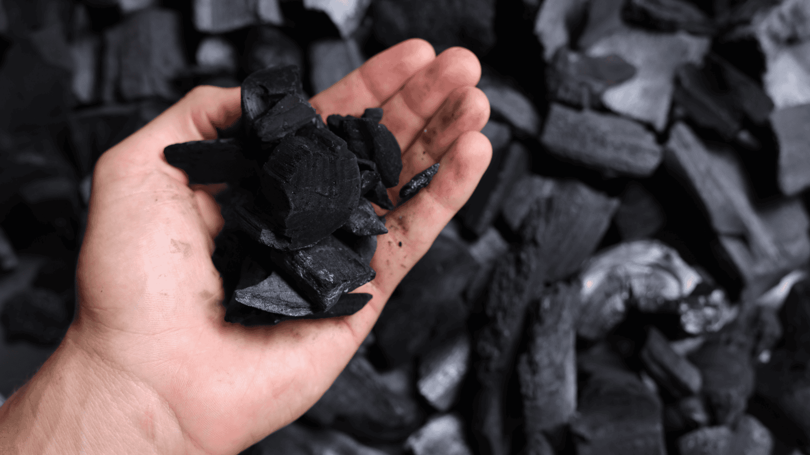 Magdalena Fordymacka