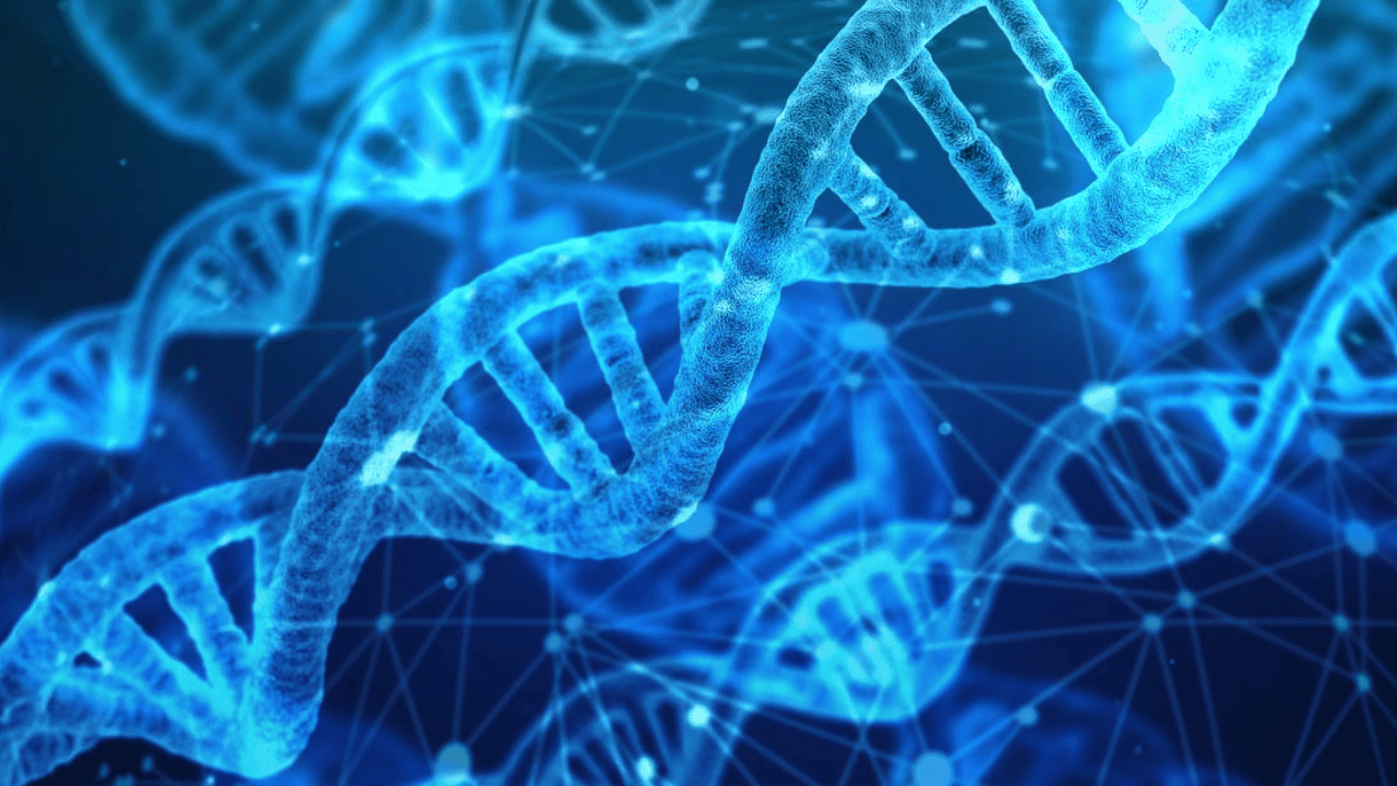 DNA