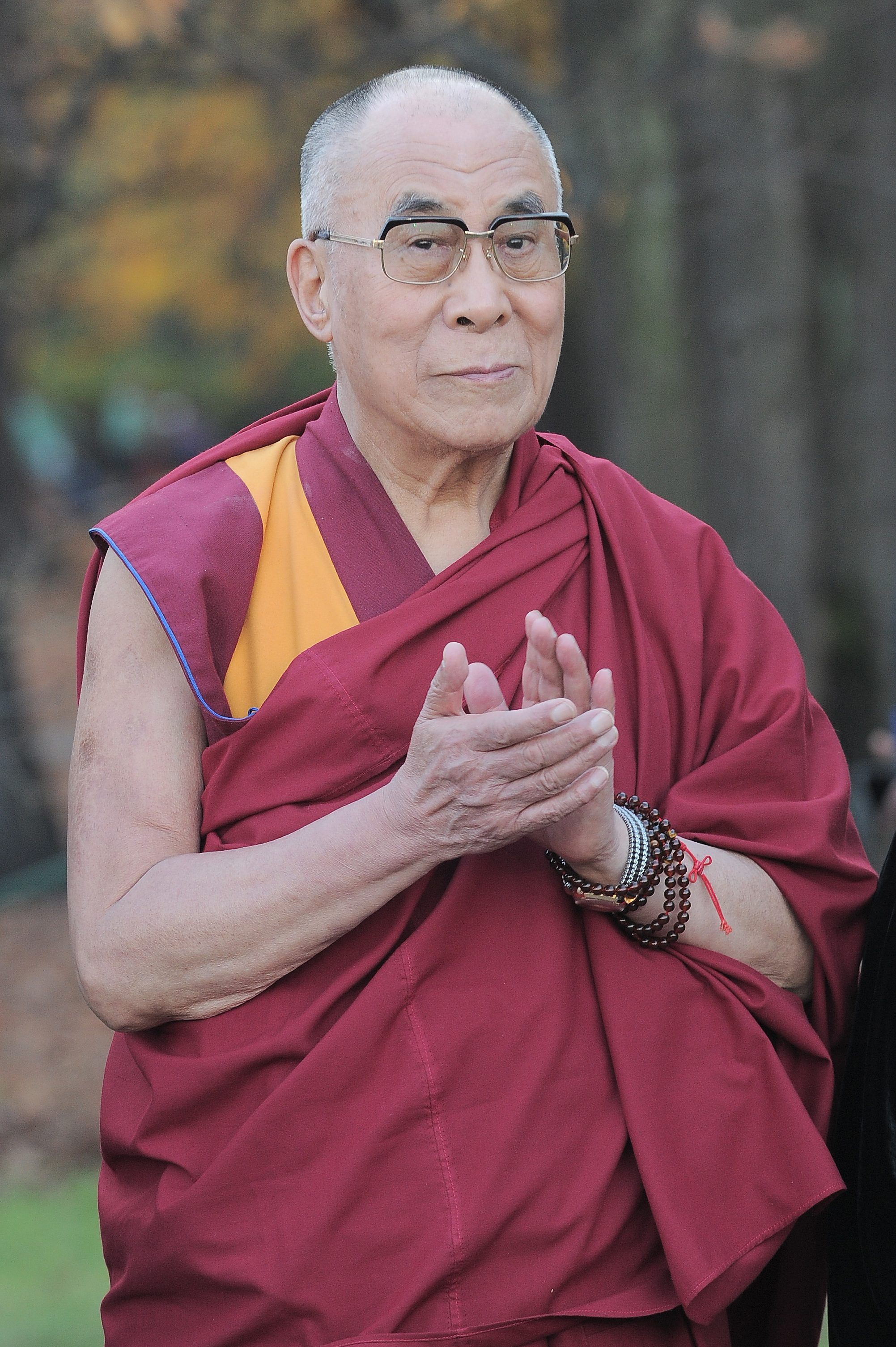 Dalajlama w 2013 roku