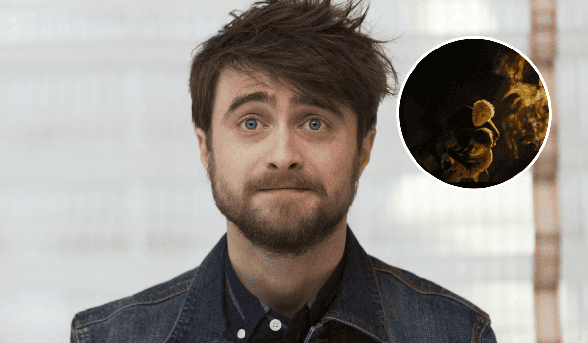 Daniel Radcliffe, Harry Potter