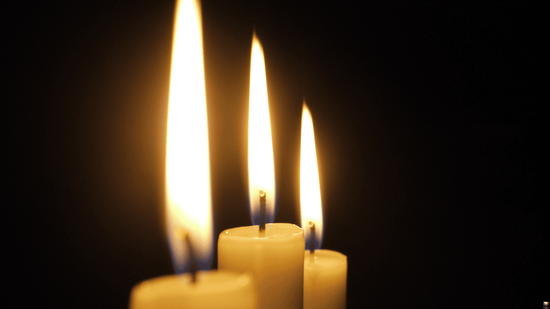 Gwiazda przegrała walkę z rakiem. Rozpacz w show-biznesie