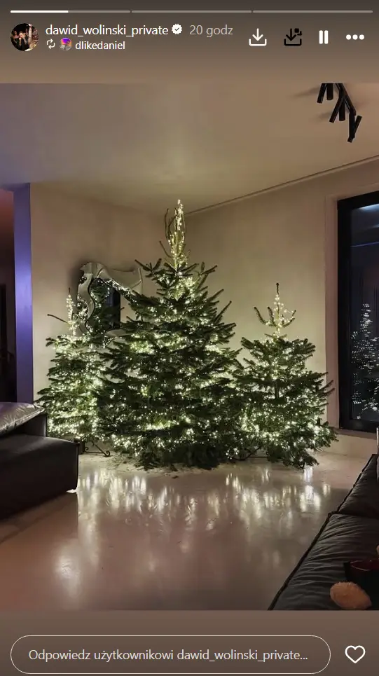 Gwiazdor TVN udekorował dom na święta. Jedna choinka nie wystarczyła