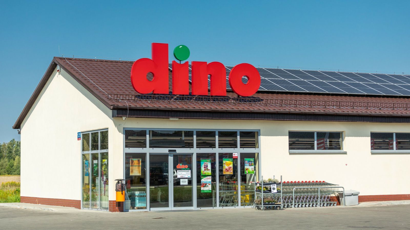 Szaleństwo w Dino. Klienci wyniosą ze sklepów całe koszyki, od jutra wielkie promocje