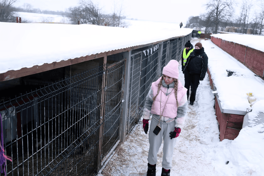 Nagły zwrot w sprawie Dody. Pojawiła się w schronisku i się zaczęło