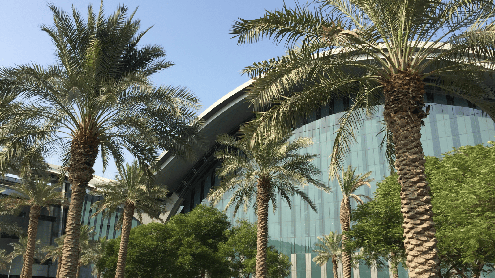 Tysiące Polaków przesiadają się na tym lotnisku. Jeden błąd może cię słono kosztować